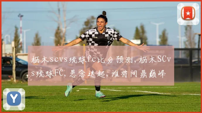 枥木scvs琉球fc比分预测,枥木SCvs琉球FC,悬念迭起,谁将问鼎巅峰